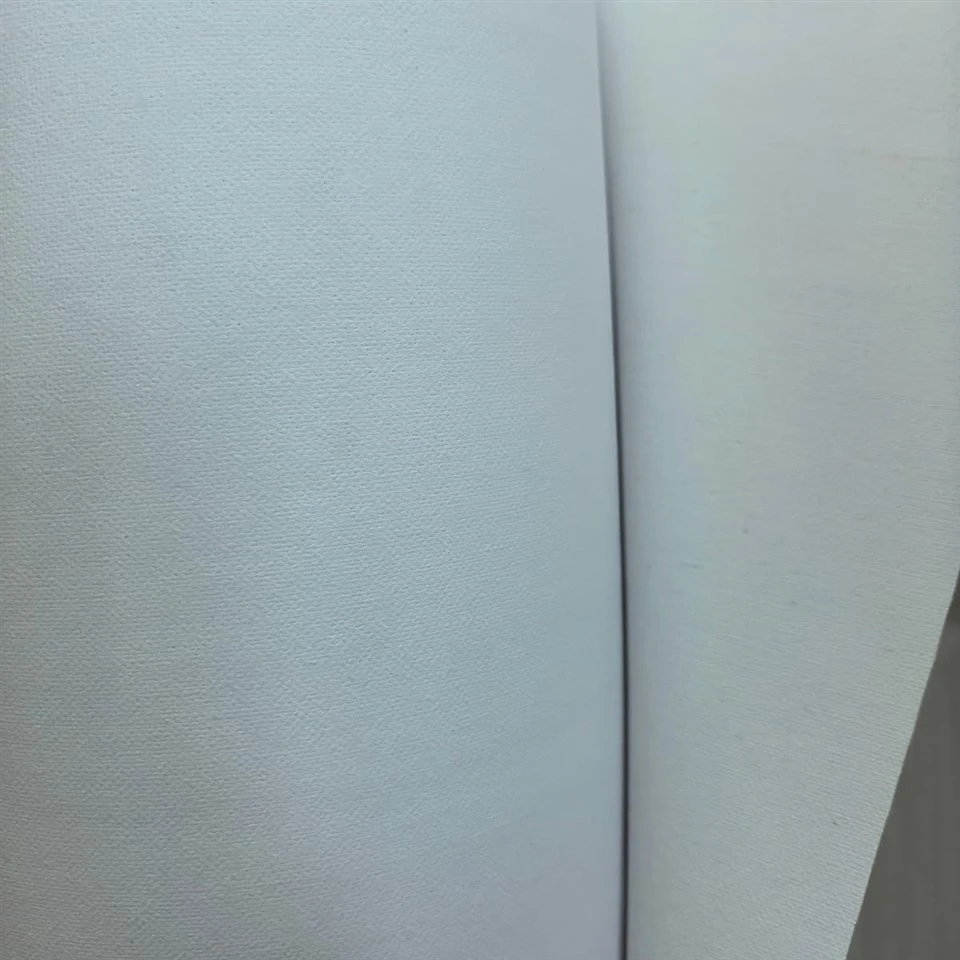 Aqueous Matte White Canvas